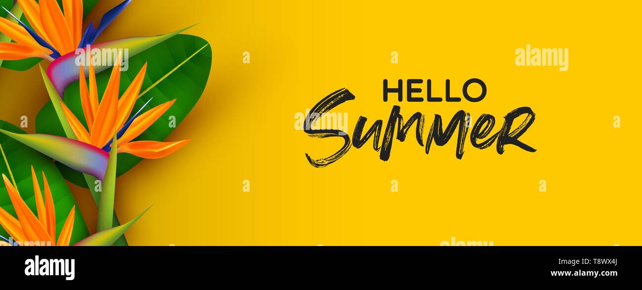 Hallo Sommer Web Banner Abbildung: Realistische 3D-tropisches Paradies vogel Blumen auf gelben Hintergrund. Stock Vektor