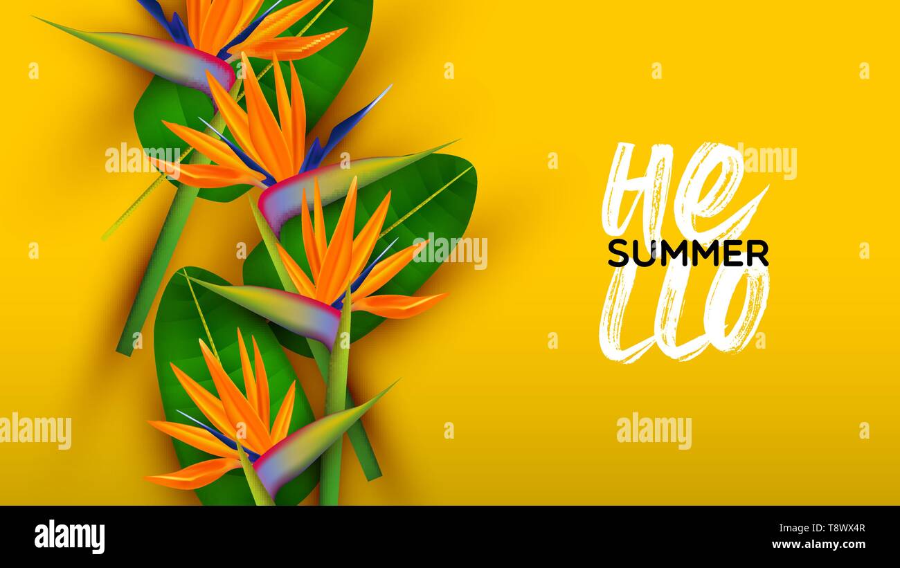 Hallo Sommer Hintergrund Abbildung: Farbenfrohe 3d-Paradise Bird Blüten auf gelbem Hintergrund. Stock Vektor