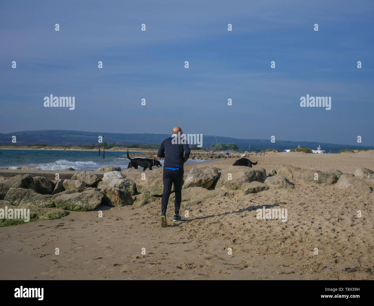 Einen schönen Tag am Strand mit Leuten beim Spaziergang mit ihren Hunden, in der Sonne. Kredit Suzanne McGowan/Alamy leben Nachrichten Stockfoto