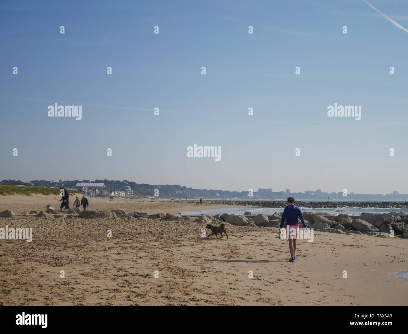 Einen schönen Tag am Strand mit Leuten beim Spaziergang mit ihren Hunden, in der Sonne. Kredit Suzanne McGowan/Alamy leben Nachrichten Stockfoto