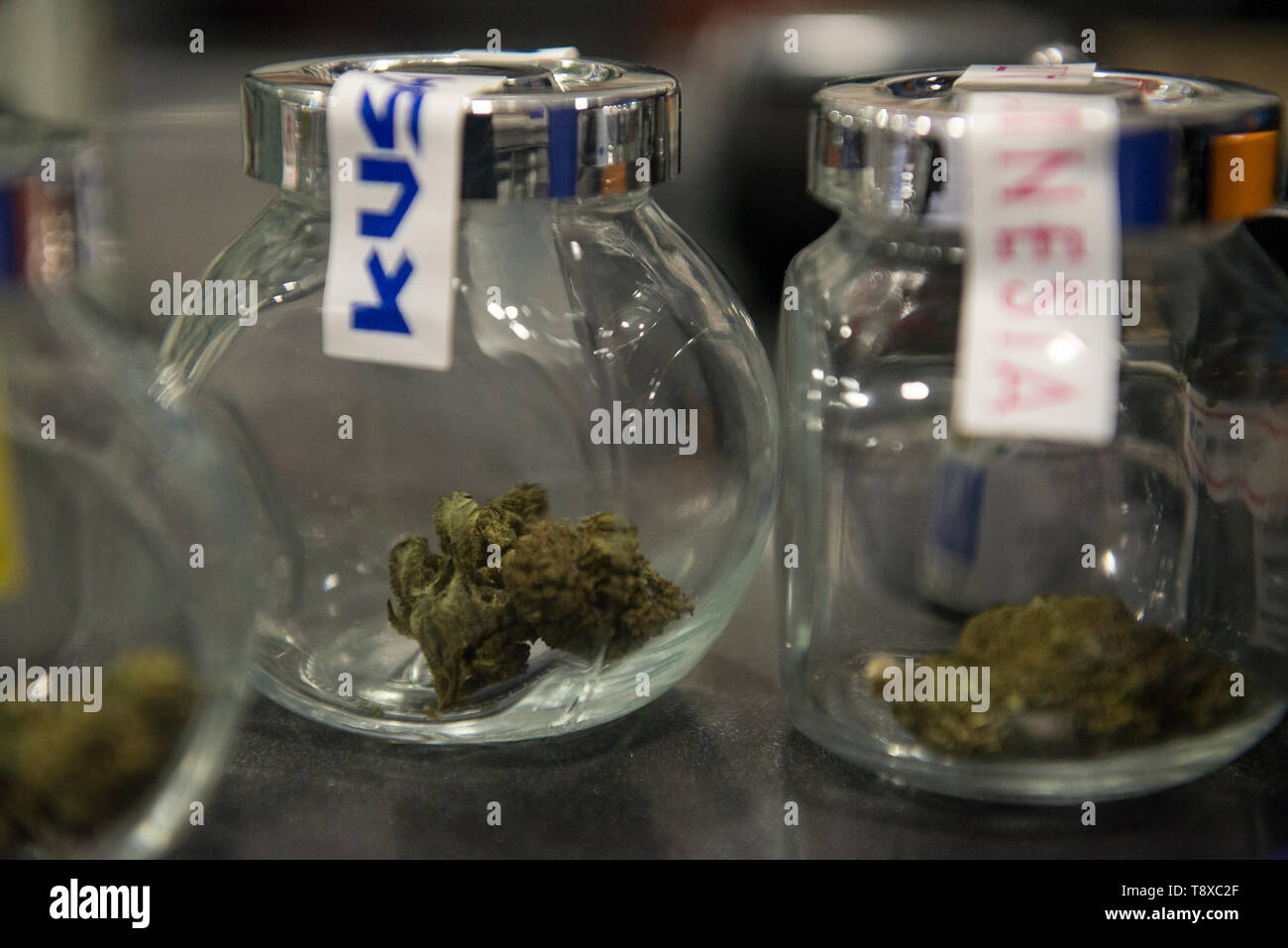 Mai 13, 2019 - Turin, Piemont, Italien - Turin, Italy-May 13, 2019: Legal Cannabis für den Verkauf in einem Tabakladen. Marihuana ist eine psychoaktive Substanz, die aus den getrockneten Blütenstände der weiblichen Hanf Pflanzen gewonnen wird. Die Delta-9-Tetrahydrocannabinol, genannt THC ist in allen Hanfsorten enthalten, eine Substanz, macht die Anlage in vielen Ländern illegal. Es gibt Sorten, die legal angebaut werden kann, für die die Grenzwerte dieser Inhalt gesetzlich festgelegt ist. In Italien ist der Verkauf von Legal Cannabis legalisiert wurde, aber in den letzten Tagen Matteo Salvini der italienische Innenminister will Stockfoto