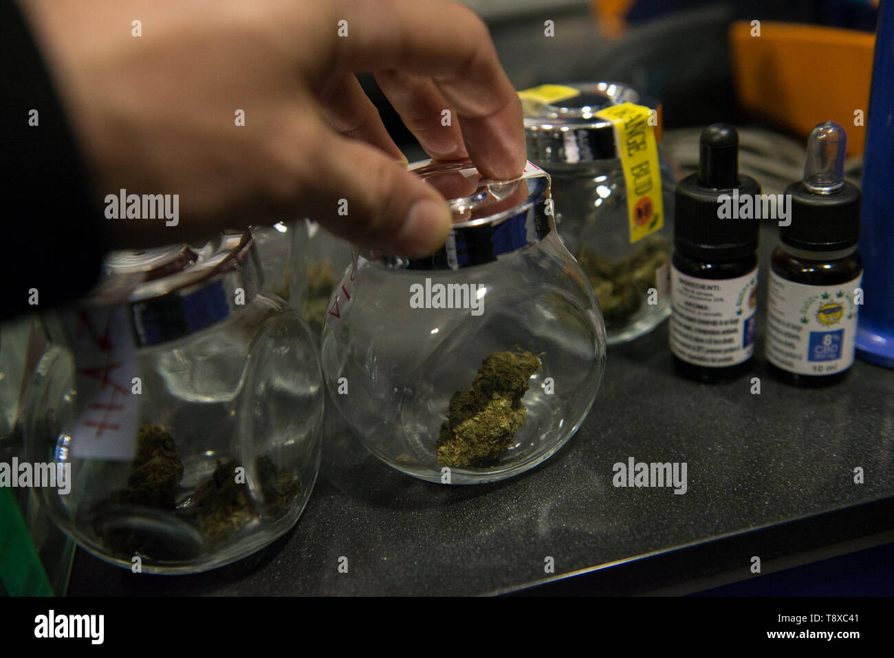 Mai 13, 2019 - Turin, Piemont, Italien - Turin, Italy-May 13, 2019: Legal Cannabis für den Verkauf in einem Tabakladen. Marihuana ist eine psychoaktive Substanz, die aus den getrockneten Blütenstände der weiblichen Hanf Pflanzen gewonnen wird. Die Delta-9-Tetrahydrocannabinol, genannt THC ist in allen Hanfsorten enthalten, eine Substanz, macht die Anlage in vielen Ländern illegal. Es gibt Sorten, die legal angebaut werden kann, für die die Grenzwerte dieser Inhalt gesetzlich festgelegt ist. In Italien ist der Verkauf von Legal Cannabis legalisiert wurde, aber in den letzten Tagen Matteo Salvini der italienische Innenminister will Stockfoto