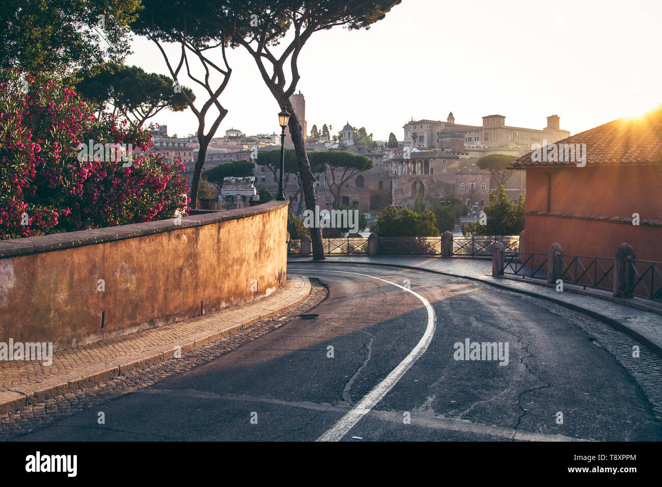 Eine typische Landschaft von Rom mit hohen Bäumen und alten Gebäuden Stockfoto