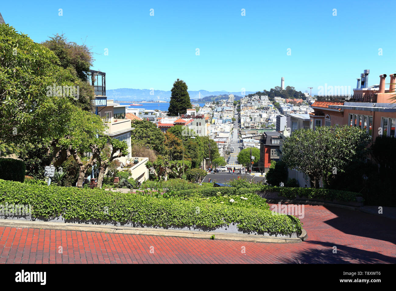 San Francisco: Auf der Suche die berühmte schiefe Lombard Street in Richtung Telegraph Hill. Stockfoto