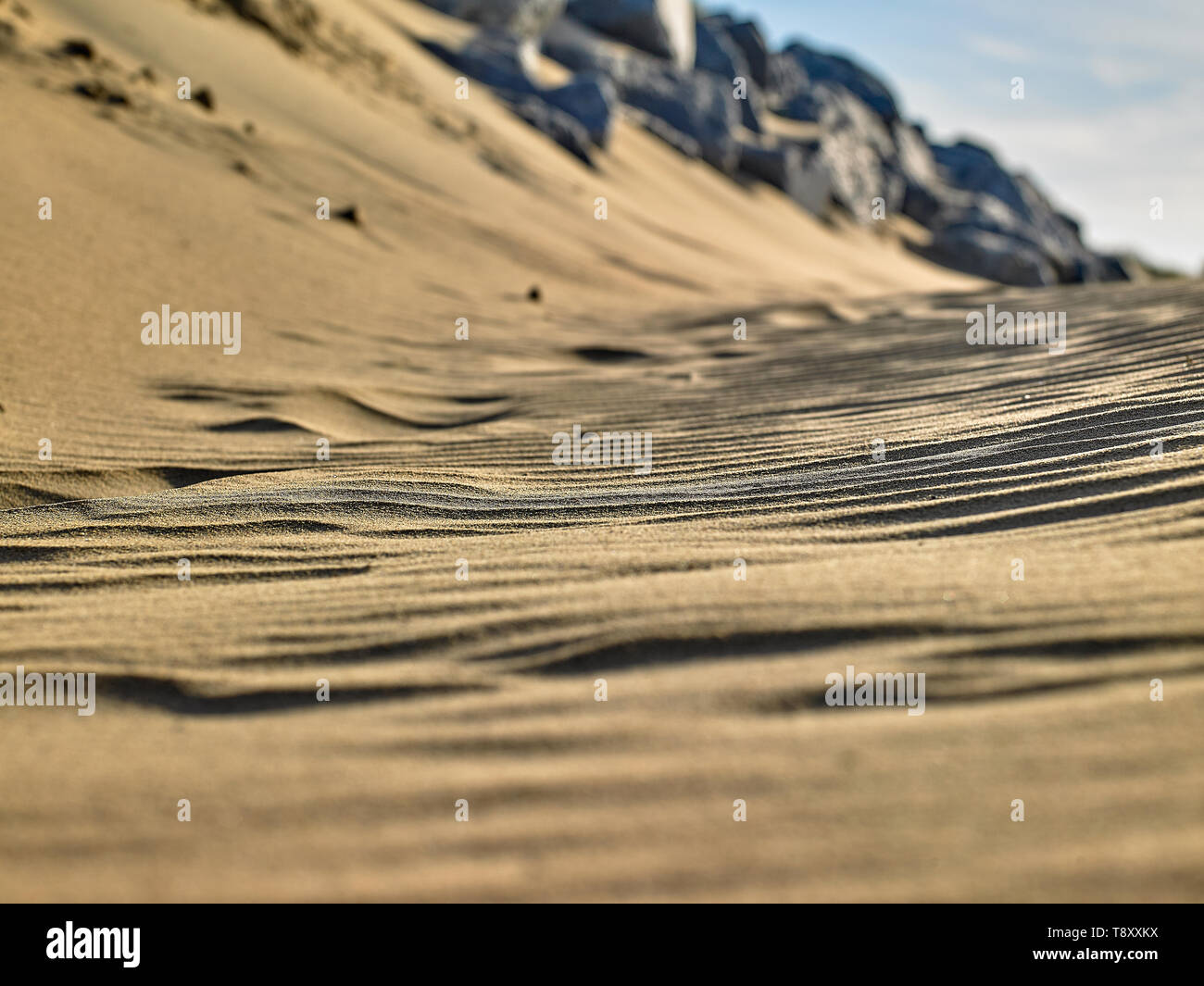 Immer noch Leben der geheimen Strand von IJmuiden auf See Stockfoto