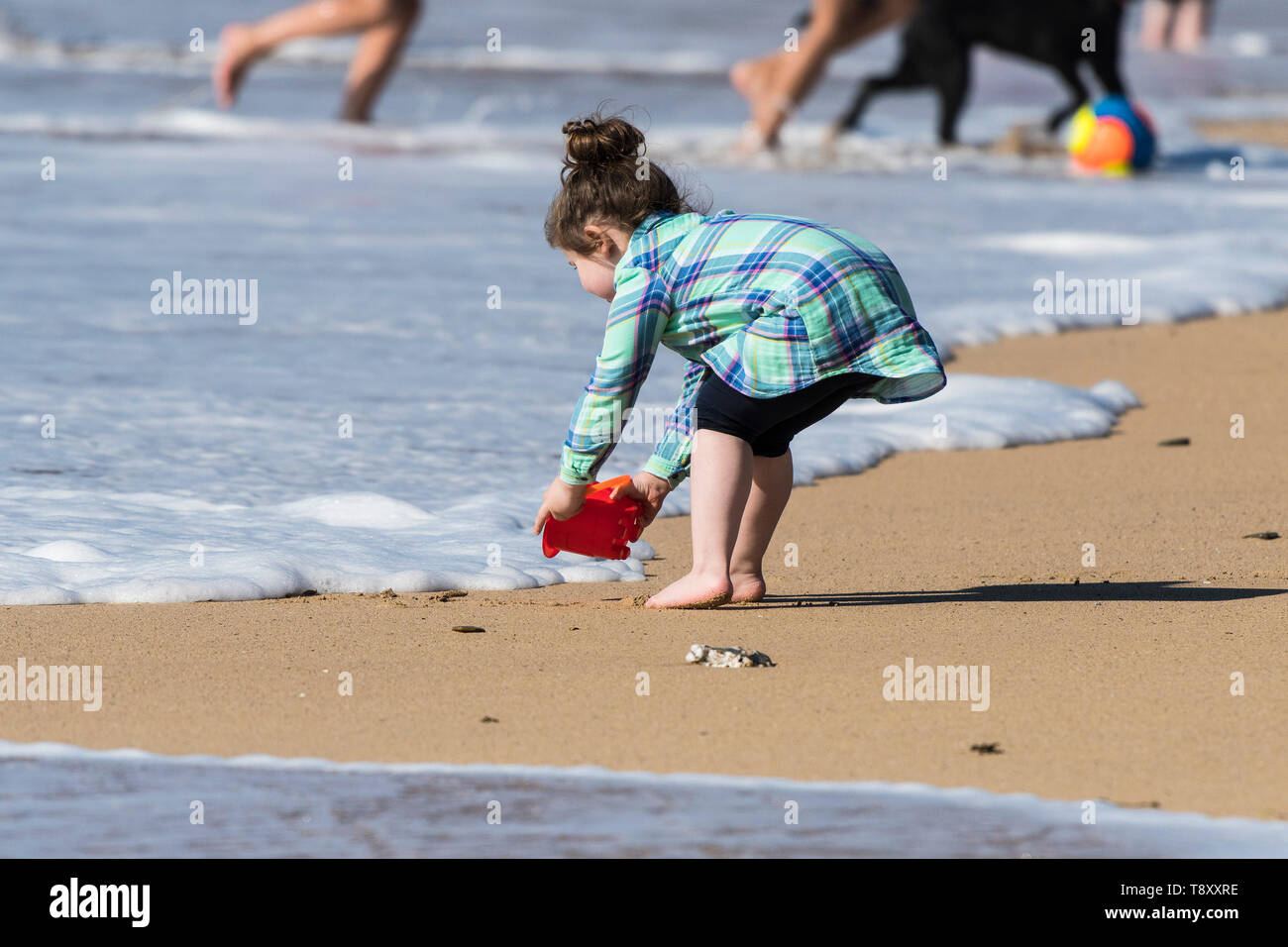 Ein Kleinkind, die versucht, ihr Eimer mit Meerwasser, ohne sich die Füße nass auf den Fistral in Newquay in Cornwall zu füllen. Stockfoto