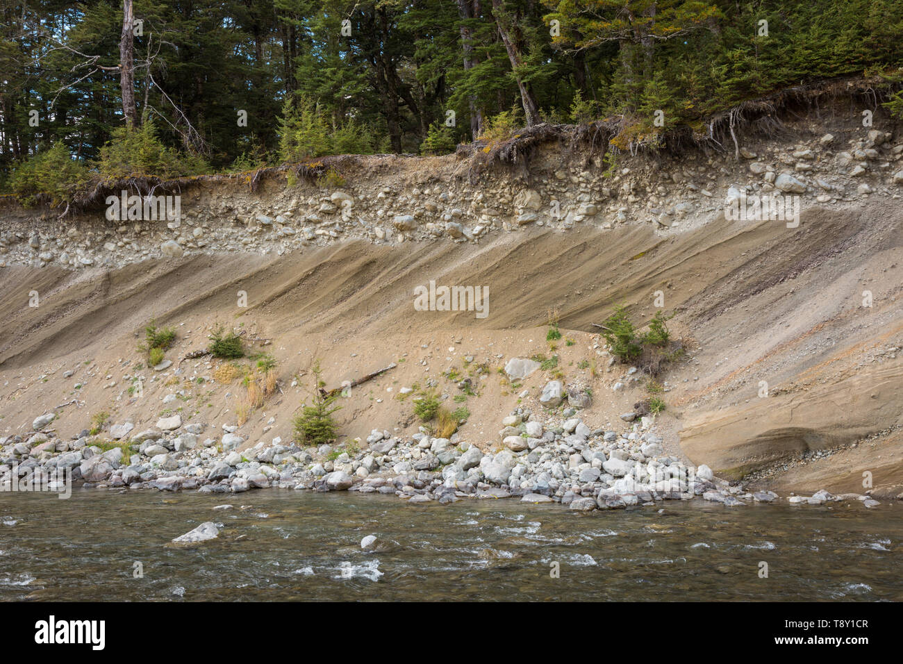 Fluss oder fluviale Erosion an einem Flussufer, Südinsel, Neuseeland Stockfoto