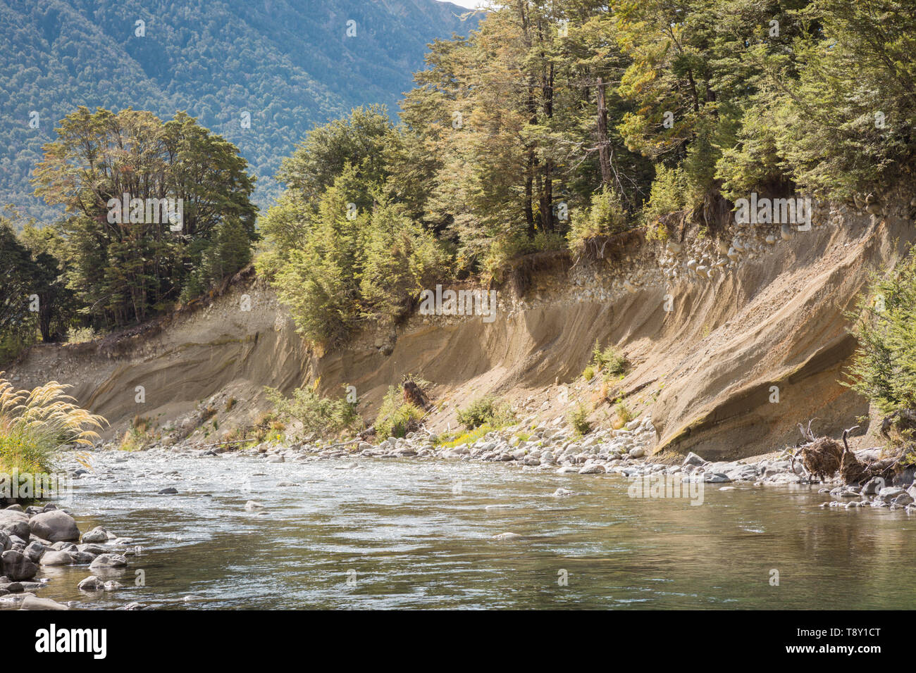 Fluss oder fluviale Erosion an einem Flussufer, Südinsel, Neuseeland Stockfoto