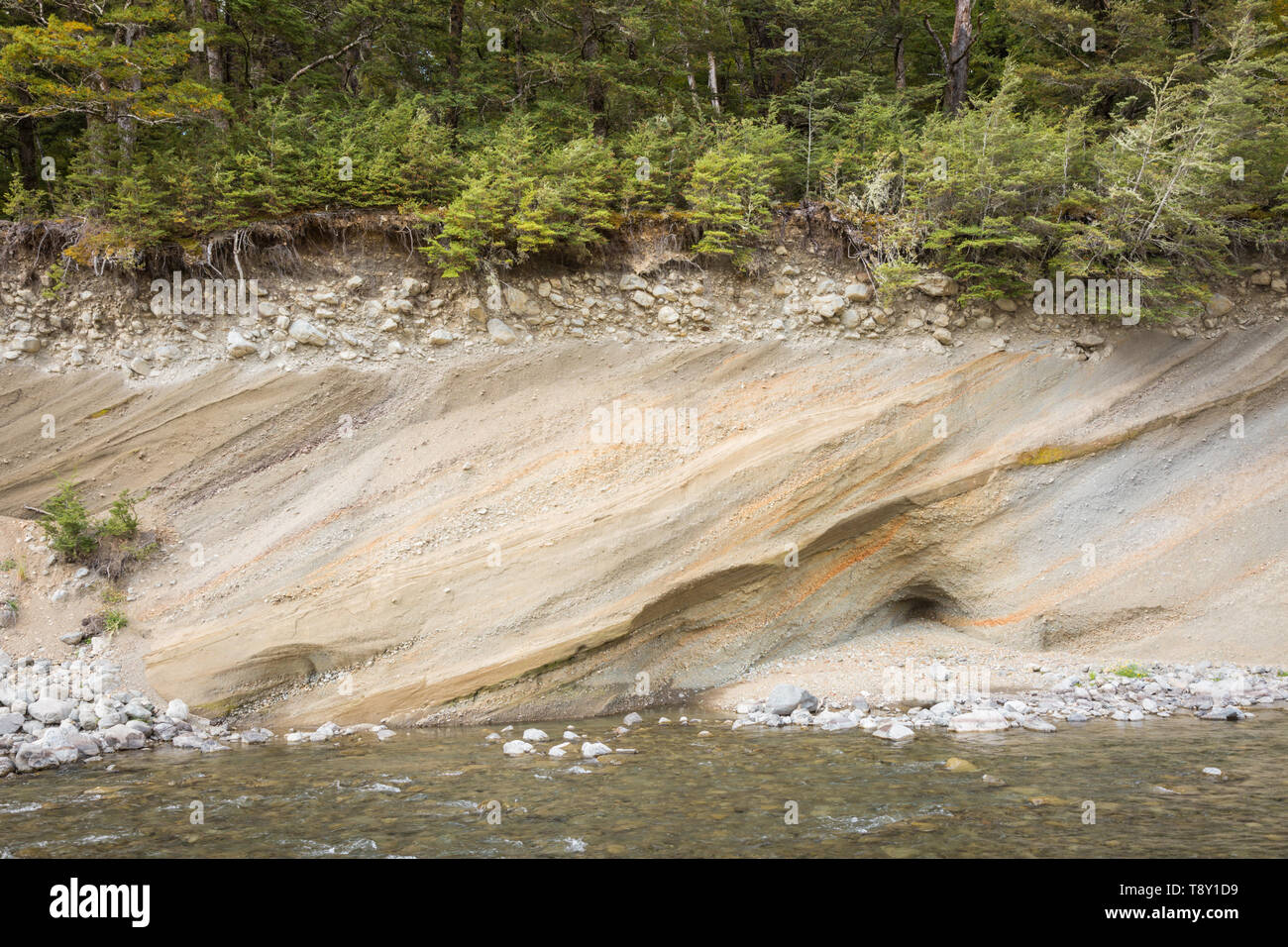 Fluss oder fluviale Erosion an einem Flussufer, Südinsel, Neuseeland Stockfoto