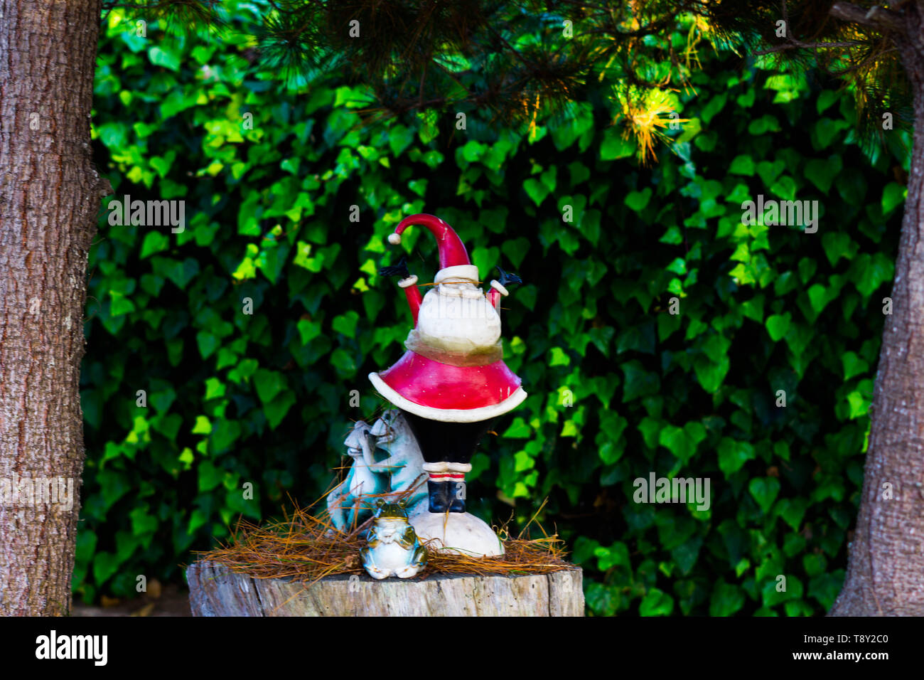 Santa ornament jubelnde Konzept mit Frösche in einem Garten Stockfoto