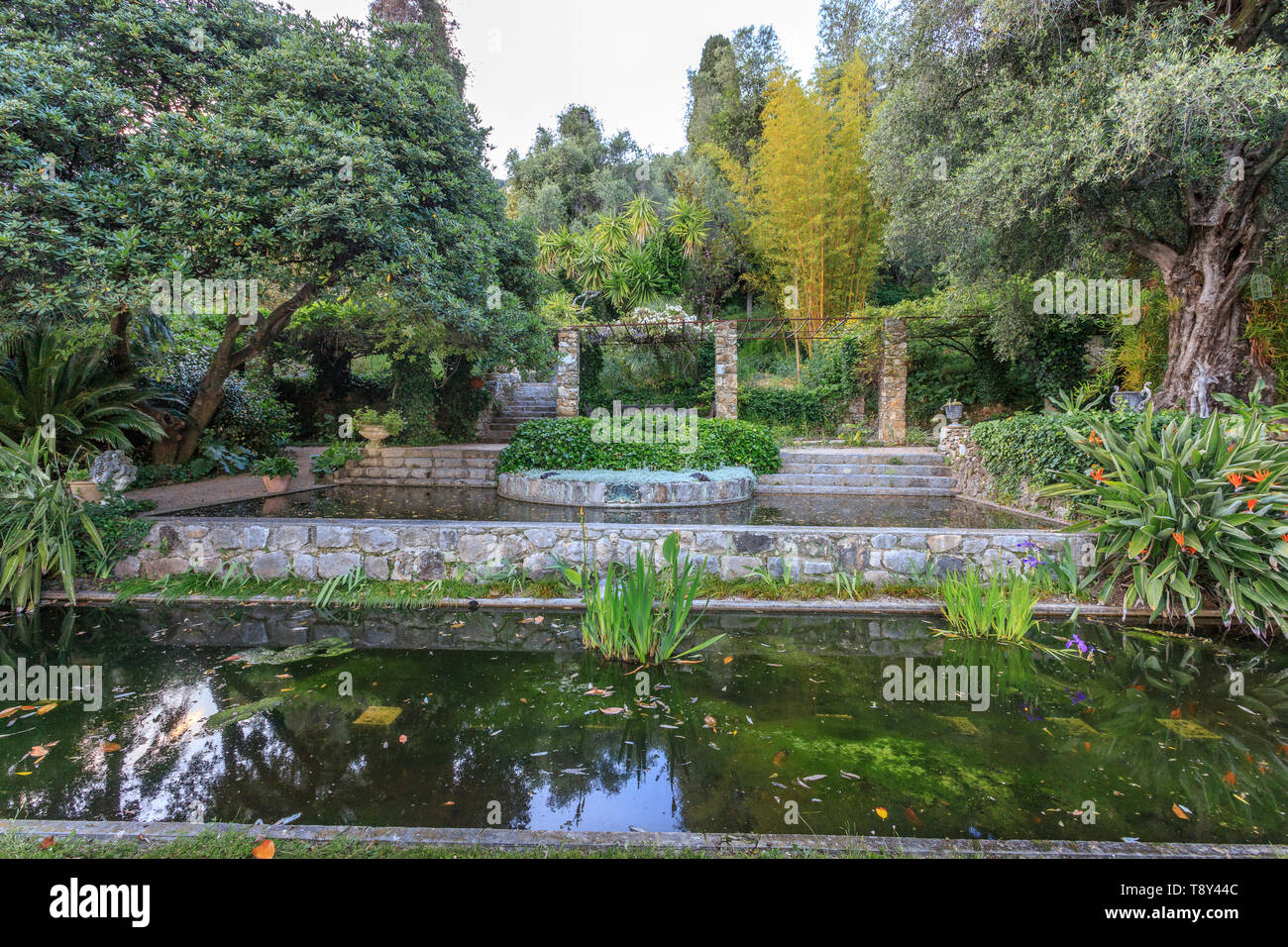 Frankreich, Alpes Maritimes, Menton, Jardin Clos du Peyronnet, Garten William Waterfield, Waterfield Familienbesitz seit 1915, die Teiche // Frankreich, Al Stockfoto