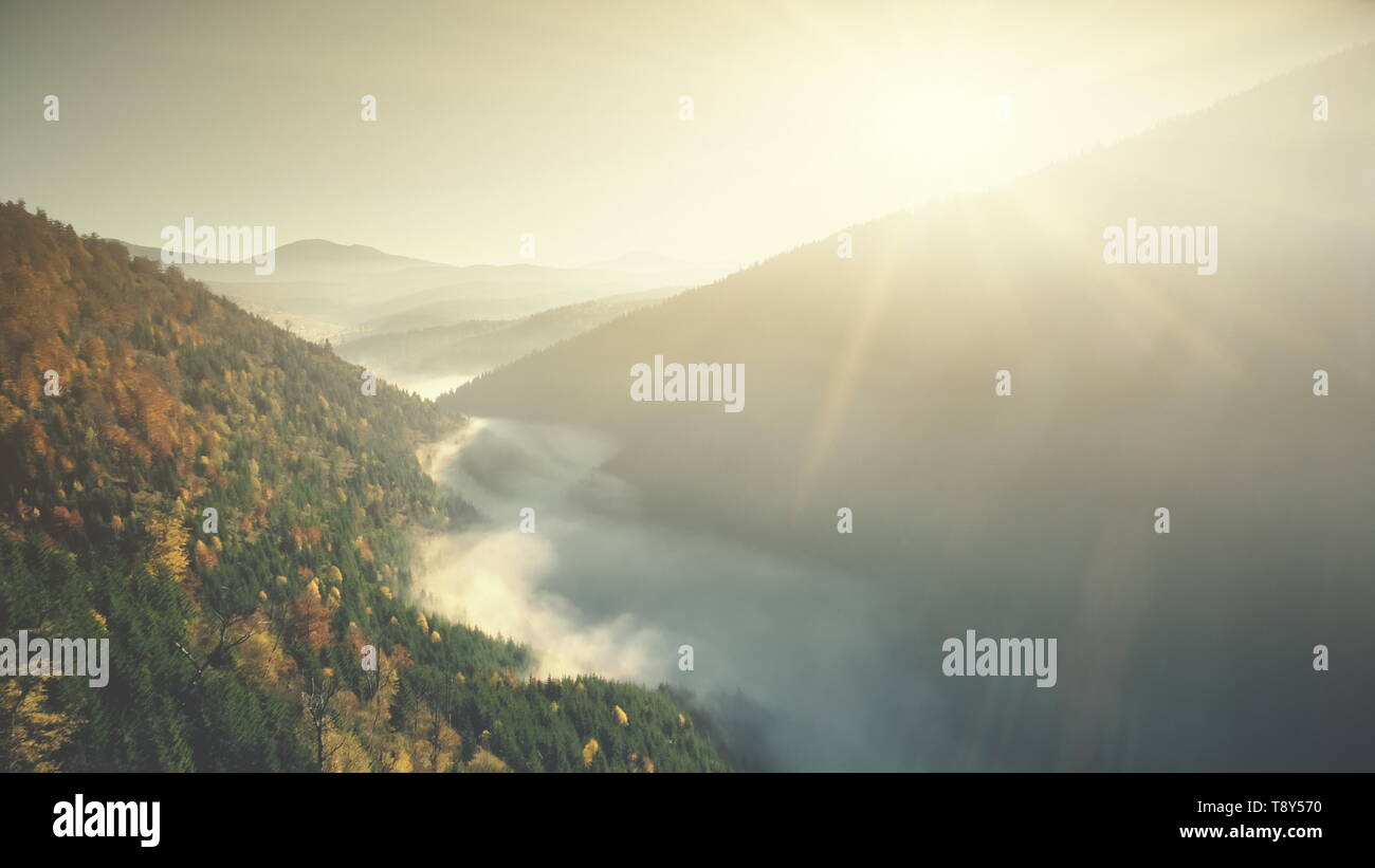 Mehrfarbige Highland Wald Nebel Hang Luftaufnahme. Wilde Natur Lebensraum Misty immergrüne Koniferen Cliff Forstwirtschaft Übersicht. Ruhige Schönheit Landschaft sauber Ökologie Konzept Drone Flug Stockfoto