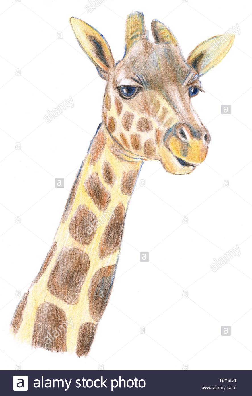 32 Giraffe Kopf Malen - Besten Bilder von ausmalbilder