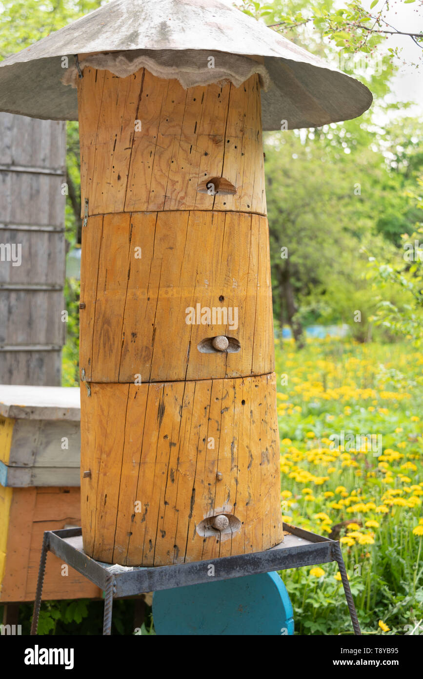 Bienenstock mit einem Metalldach und Holz- Stecker. Stockfoto