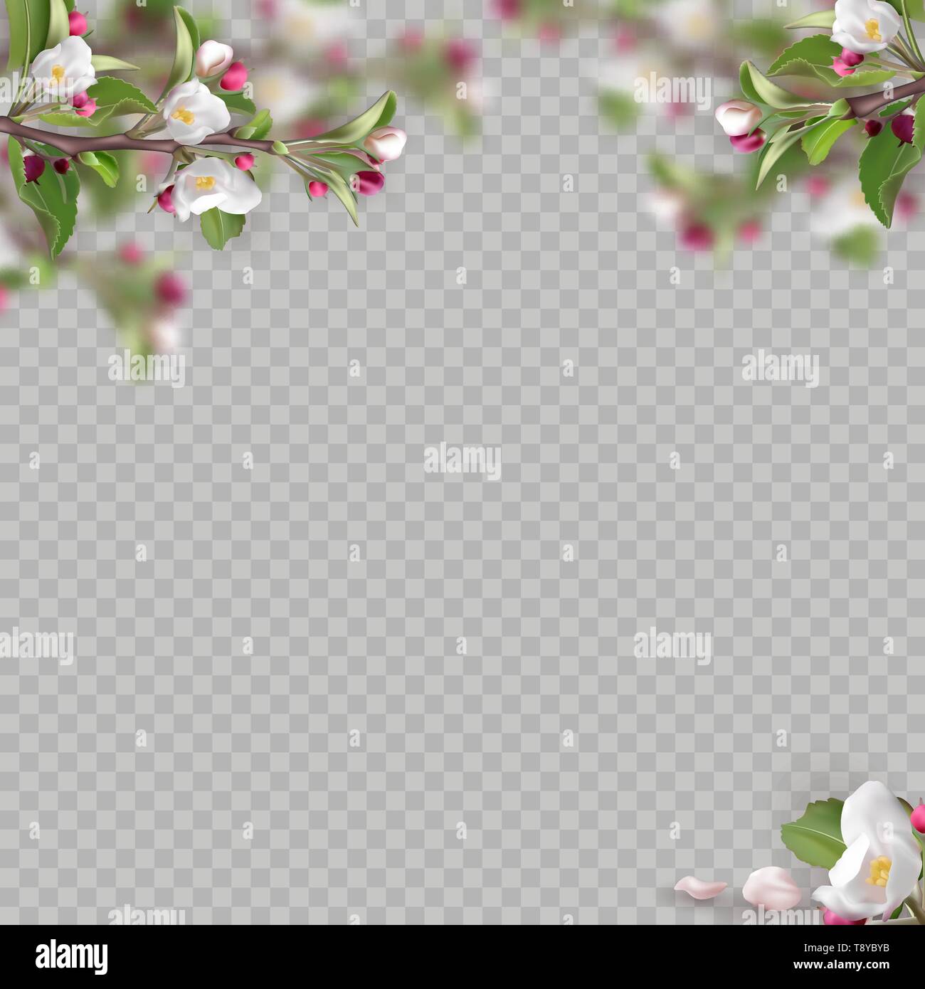 Festlegen von realistischen blühende Zweige, apple tree Stock Vektor