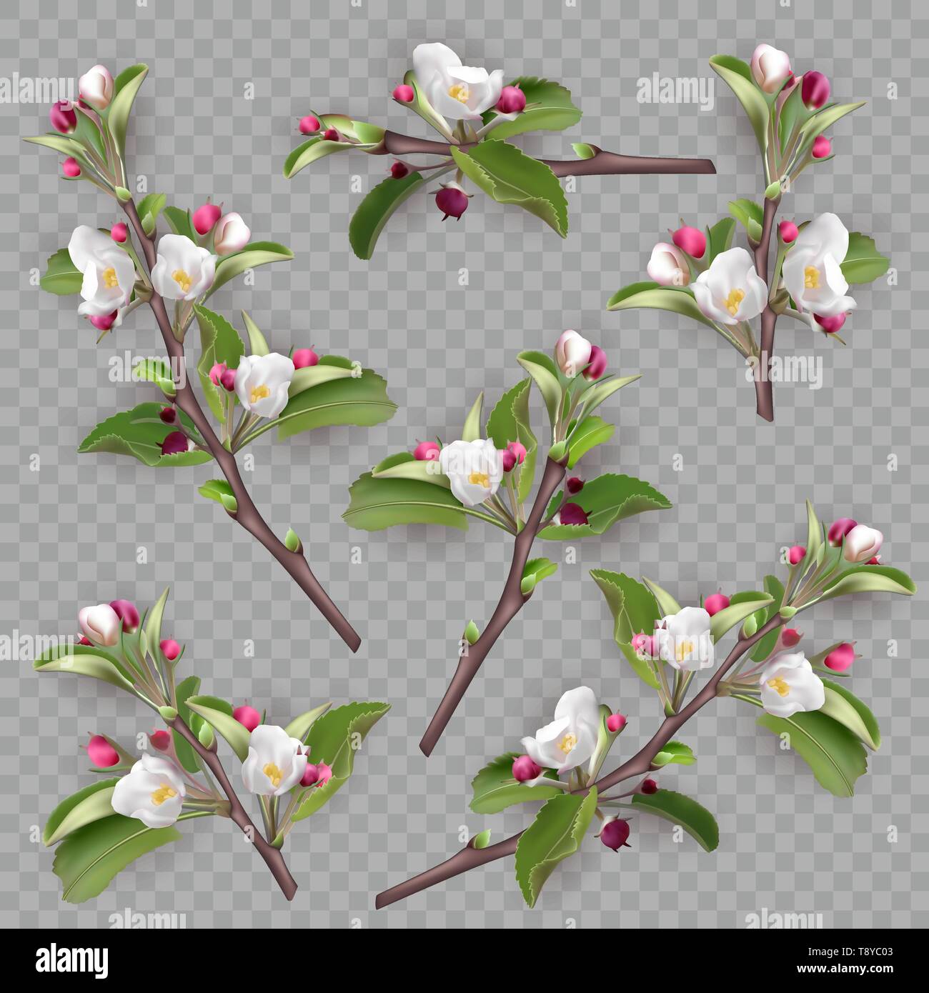 Festlegen von realistischen blühende Zweige, apple tree Stock Vektor