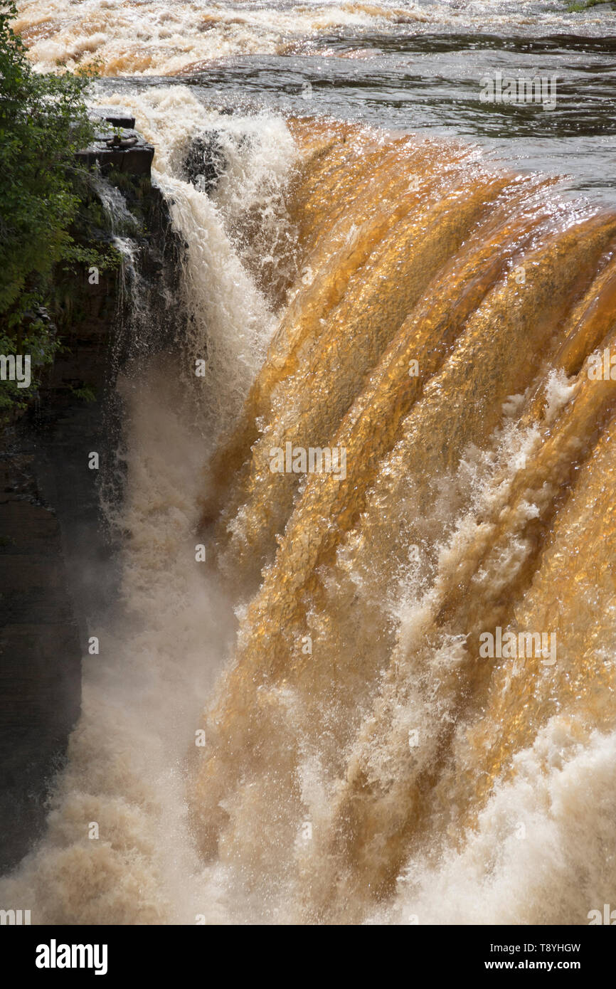 Cascading Wasser über Kakabeka Falls, Ontario, Kanada. Die Farbe des Wassers, wenn durch im Wasser aus der Vegetation zu Tannin Stockfoto