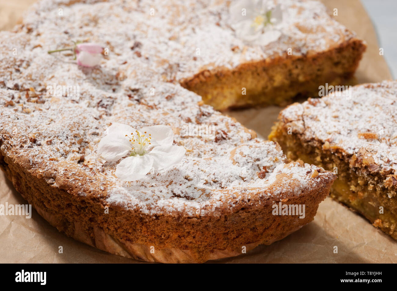 Hausgemachte Apfelkuchen mit Puderzucker bestreut und mit Apple blühen Blumen auf Braun pergamentpapier eingerichtet, Close-up, selektive konzentrieren. Stockfoto