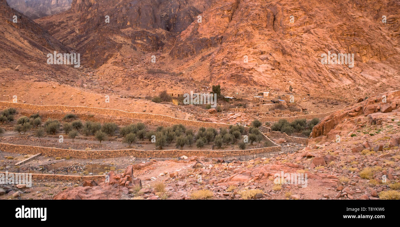 Ägyptischen Landschaft, Bedouin Village in der Wüste Sinai Stockfoto