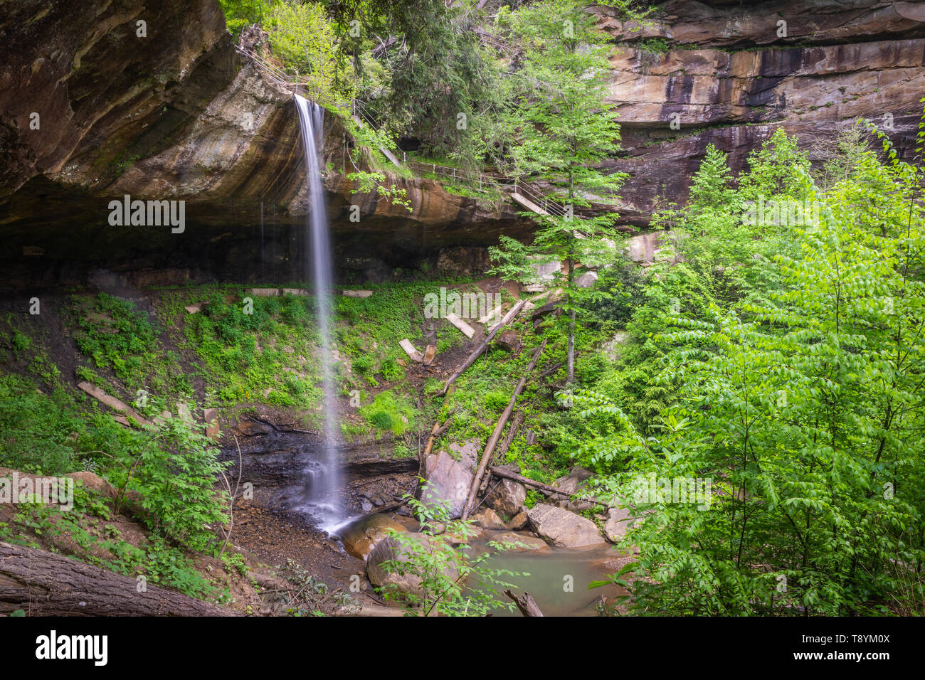 Das Wasser fällt über die Felsen am Bein brach fällt in der Nähe von Salyersville, Ky. Stockfoto