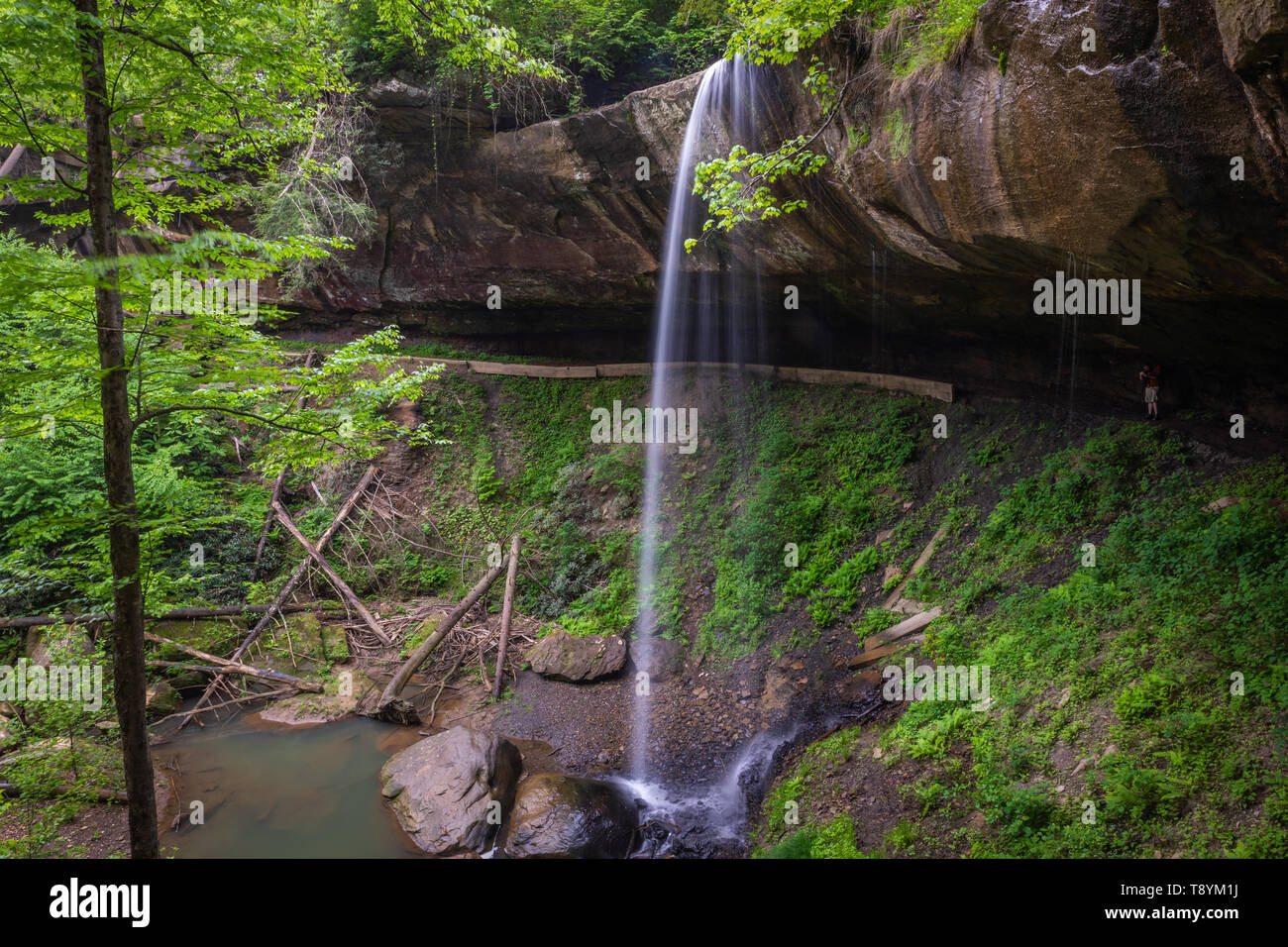 Das Wasser fällt über die Felsen am Bein brach fällt in der Nähe von Salyersville, Ky. Stockfoto