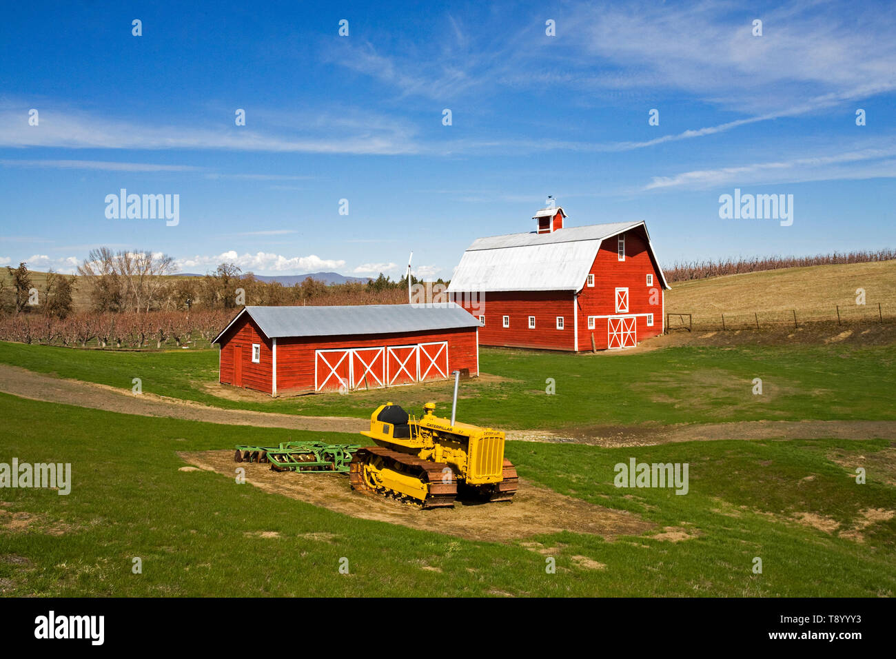 Eine alte rote Scheune und schönen Gehöft und Cherry Orchard in der Nähe der kleinen Stadt Boyd, Oregon, im nördlichen Teil des Staates. Stockfoto