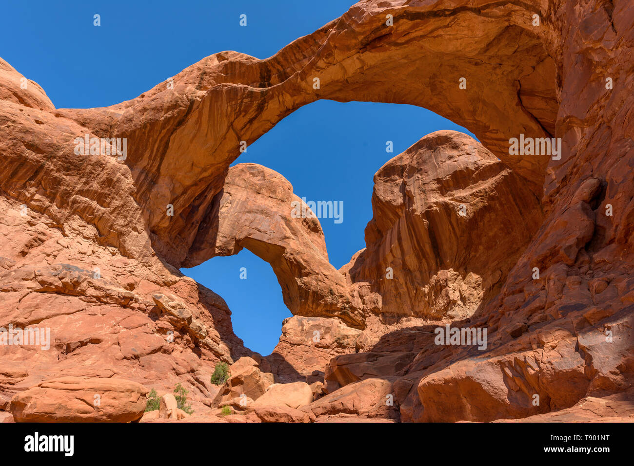 Double Arch - geringer Betrachtungswinkel von Double Arch, Arches National Park, Utah, USA. Stockfoto