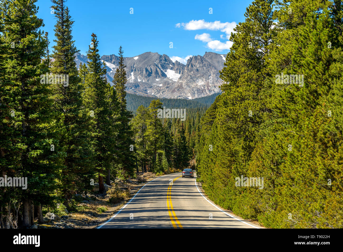 Mountain Road - ein Berg Straße windet sich durch in einem dichten Nadelwald, mit indischen Gipfel und Gletscher hoch im Hintergrund. Colorado, USA. Stockfoto