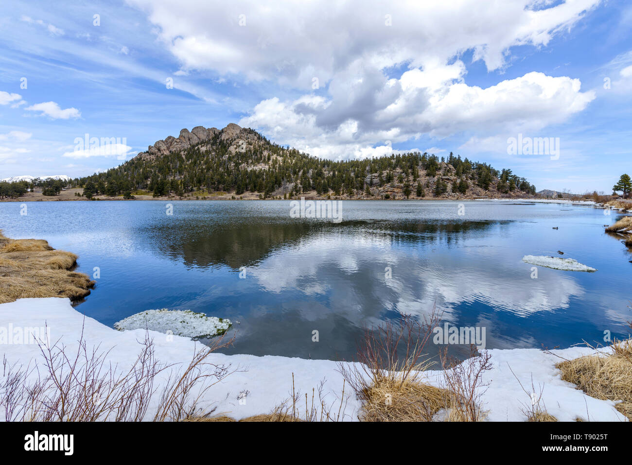 Feder an Lily See - ein Weitwinkel- Frühling Blick auf Lily See, Estes Park, Colorado, USA. Stockfoto