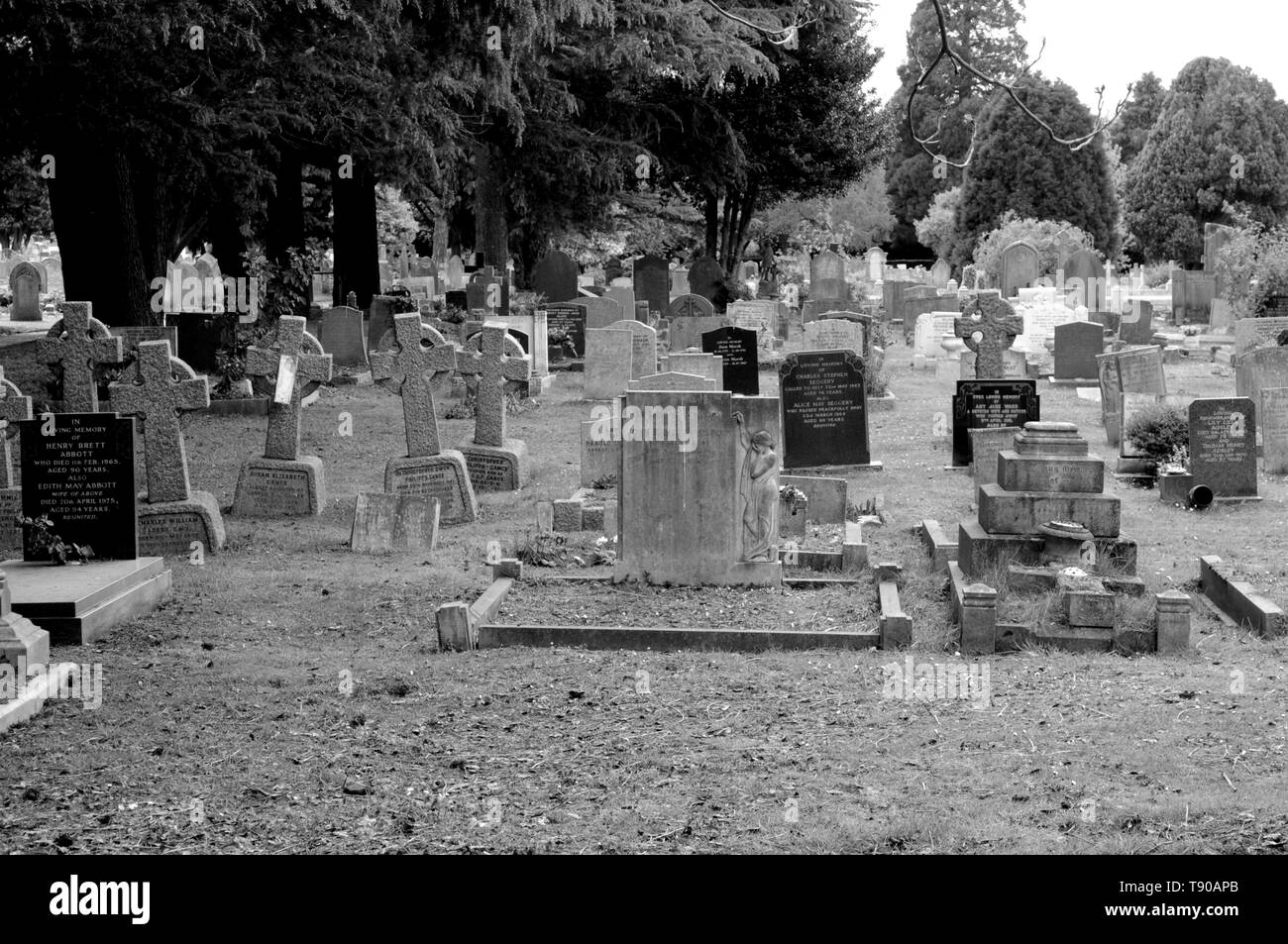 Grabsteine in Faversham Friedhof, Kent, Großbritannien. Stockfoto