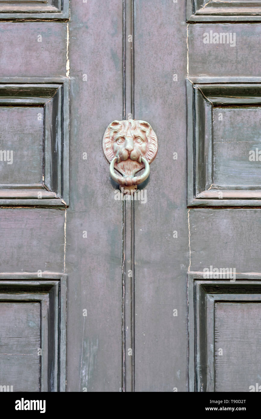 Alten grünen Haustür der viktorianischen Haus in desolaten Zustand mit abblätternde Farbe und getrübt Messing lion Klopfer, Letter Box, Knopf und Schlüsselloch. Stockfoto