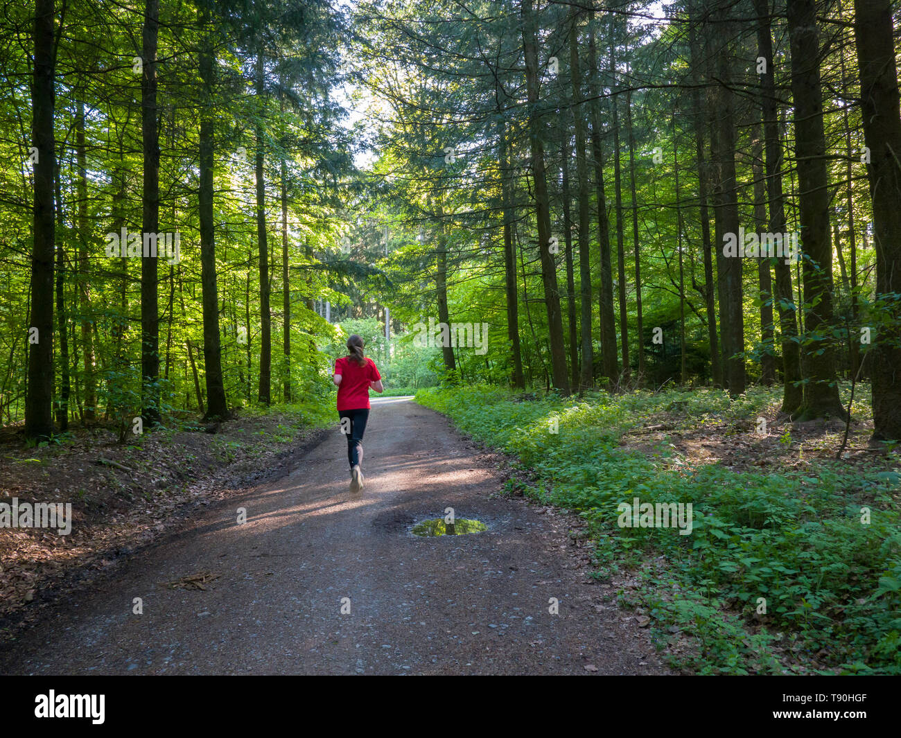 Junge Frau, von hinten gesehen, Joggen im Wald im Frühling, Deutschland, EU. Stockfoto