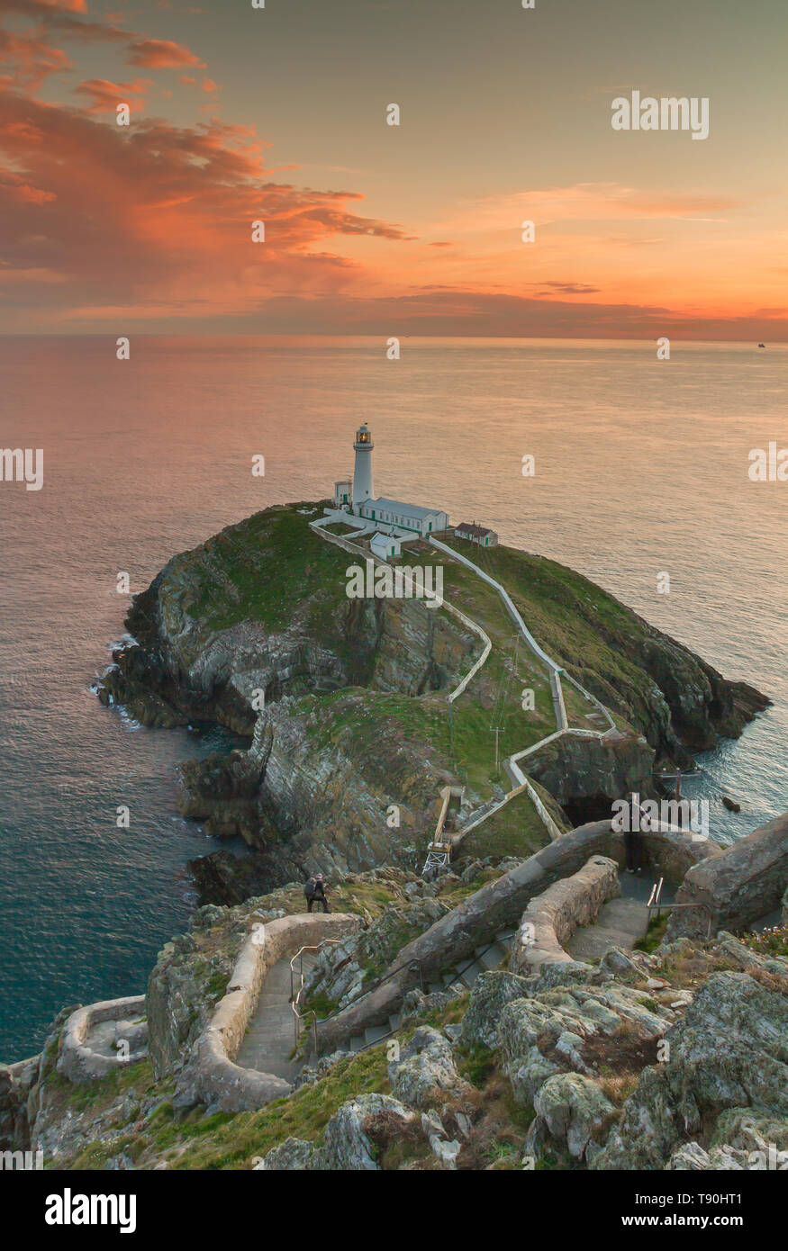 South Stack Leuchtturm, Anglesey, Wales Stockfoto