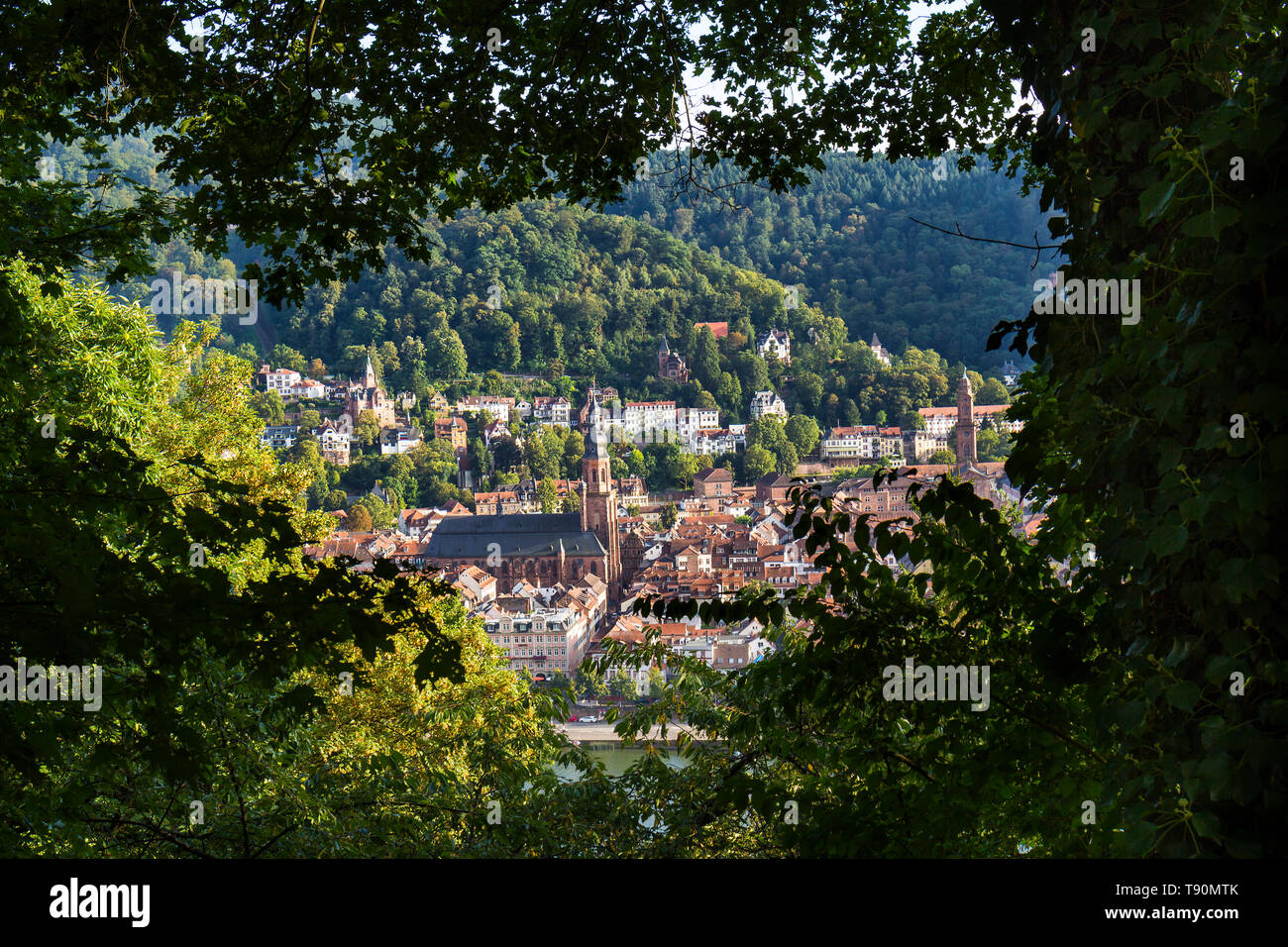 Heidelberg Philosophenweg Stockfoto