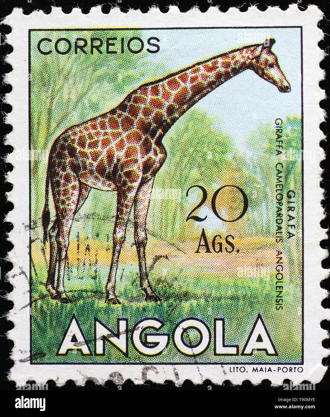 Giraffe auf vintage Briefmarke von Angola Stockfoto