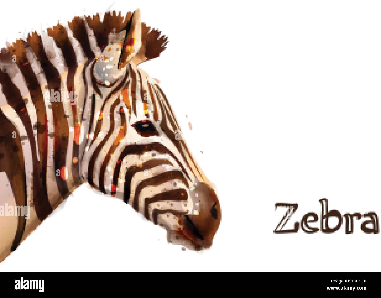 Zebra isoliert auf weißem Hintergrund Vektor Aquarell. Wildlife Safari animal Stock Vektor