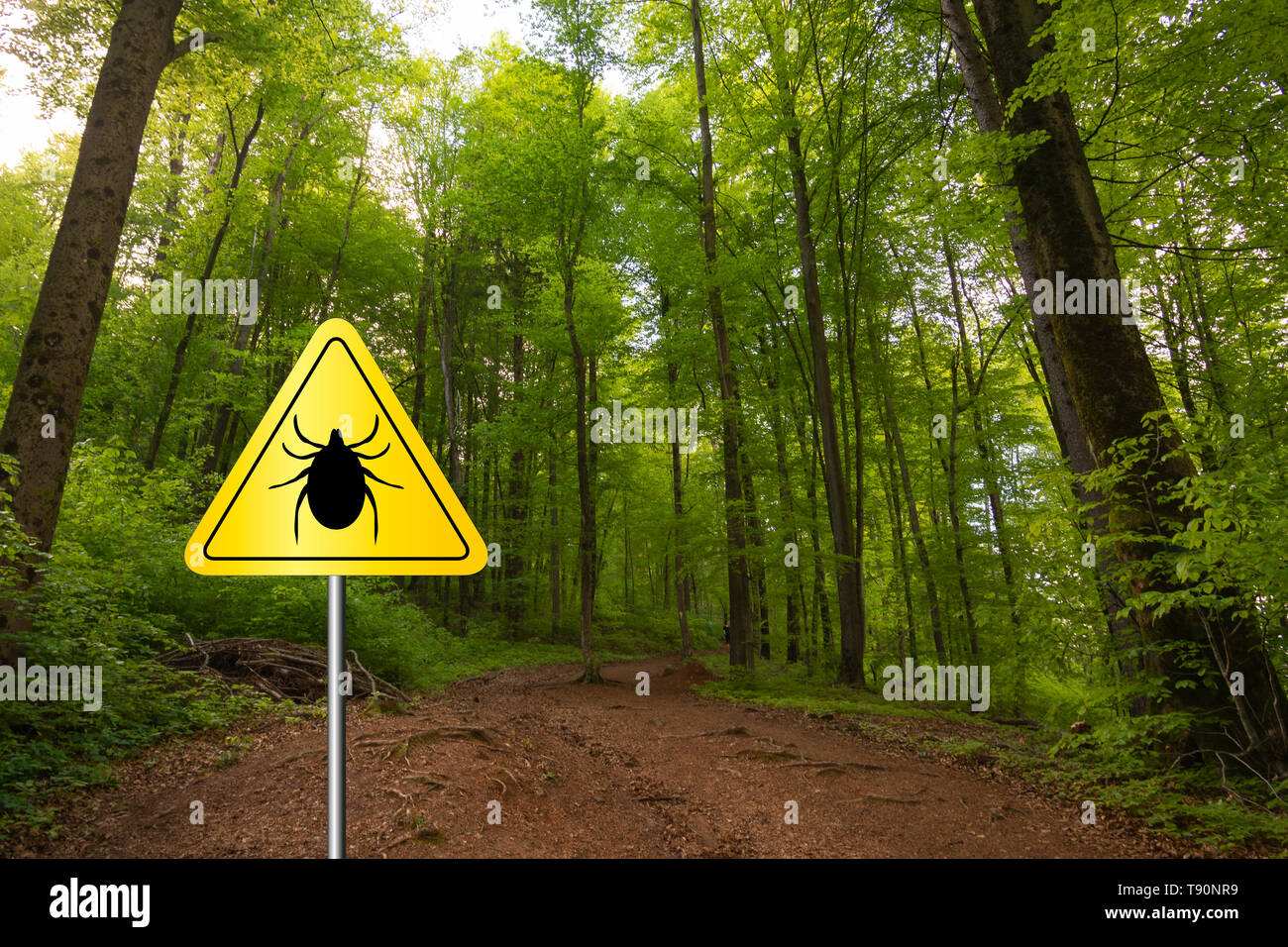Tick insekt Warnschild in der Natur Wald. Lyme Krankheit und tick-borne Meningoenzephalitis Sender. Stockfoto