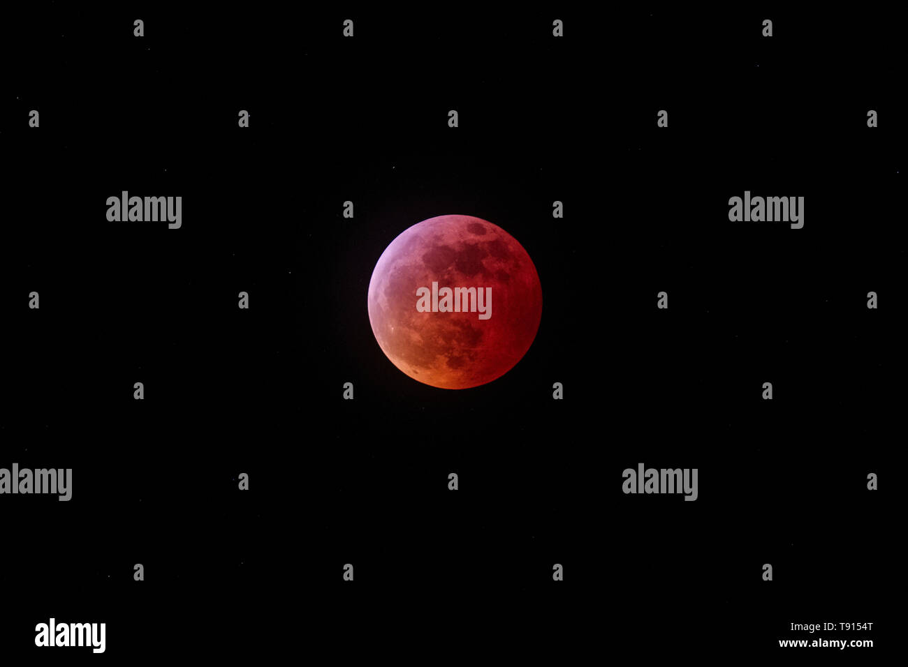 Super Blut Wolf Mond von Jan 20, 2019 von Penticton, British Columbia, Kanada gefangen. Stockfoto