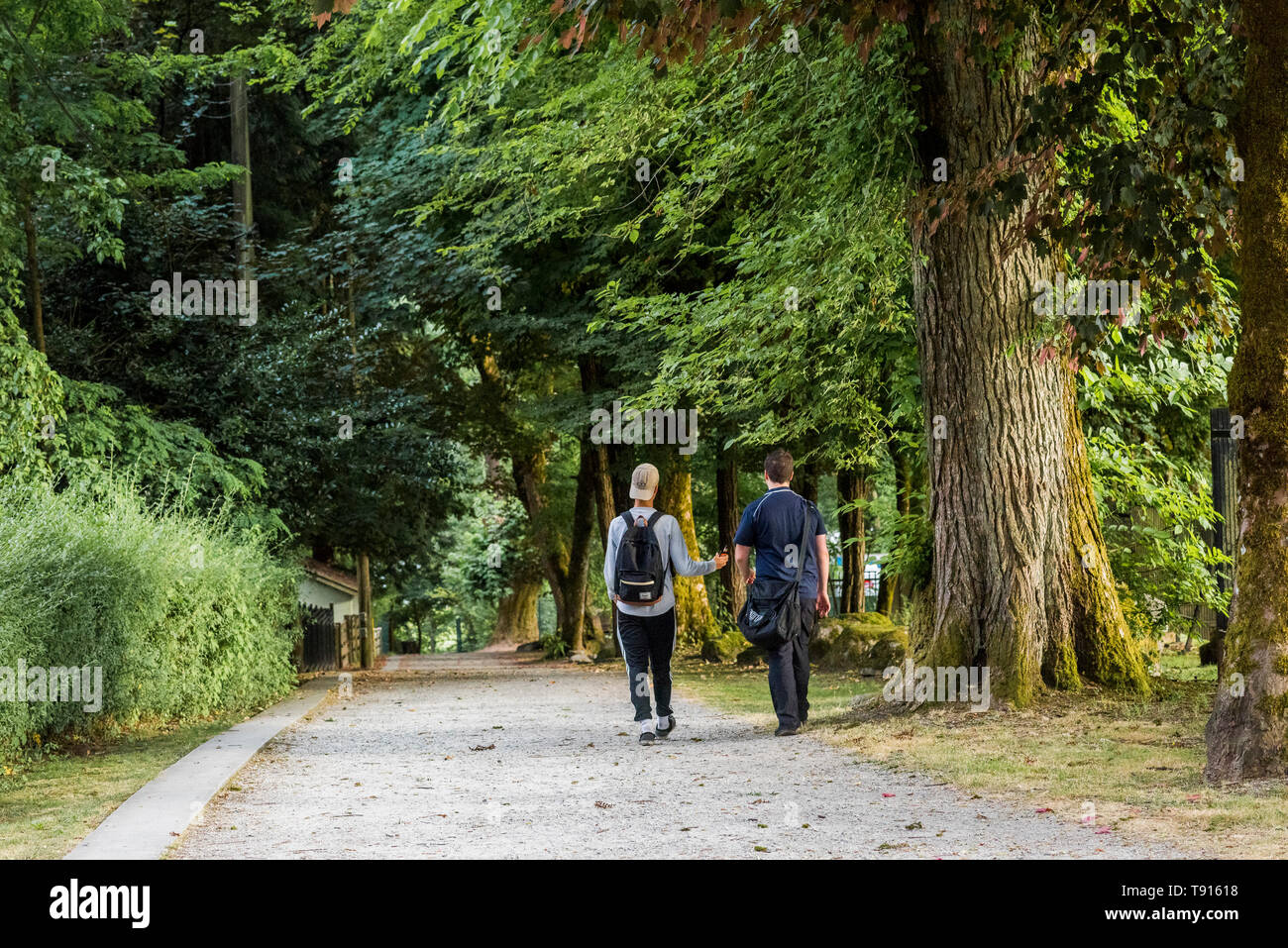 Junge Männer auf Woodland Trail, Deer Lake Park, Burnaby, British Columbia, Kanada. Stockfoto