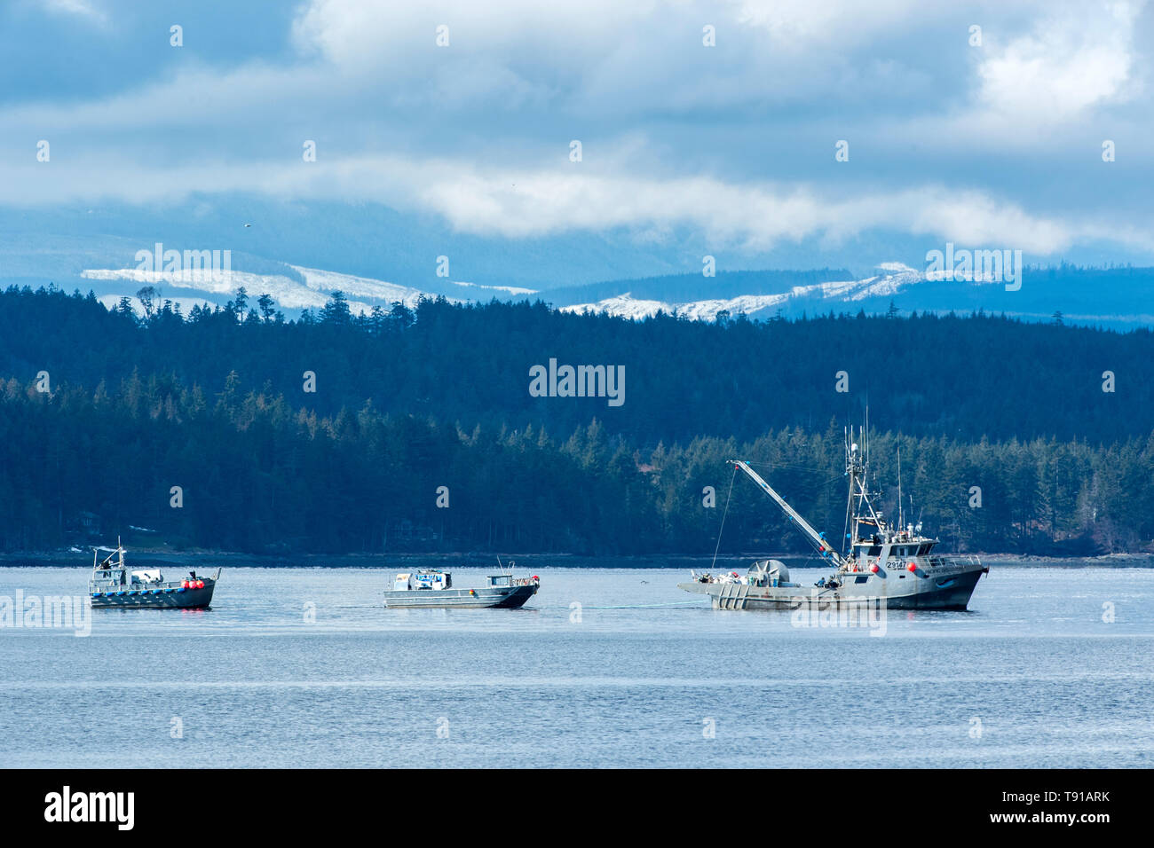 Schiff Verkehr von Hornby Island, Vancouver Island, BC, Kanada Stockfoto