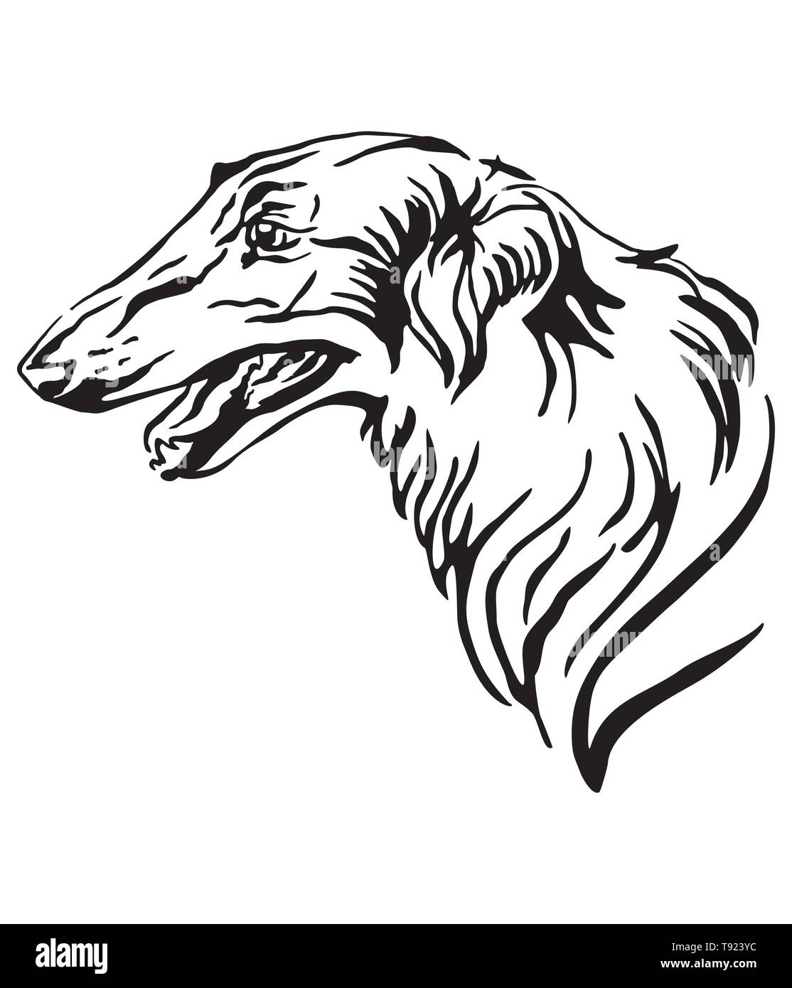 Dekorative Umrisse Portrait von Hund Russischen wolfhound Suchen im Profil, Vector Illustration in schwarzer Farbe auf weißem Hintergrund. Bild für de Stock Vektor