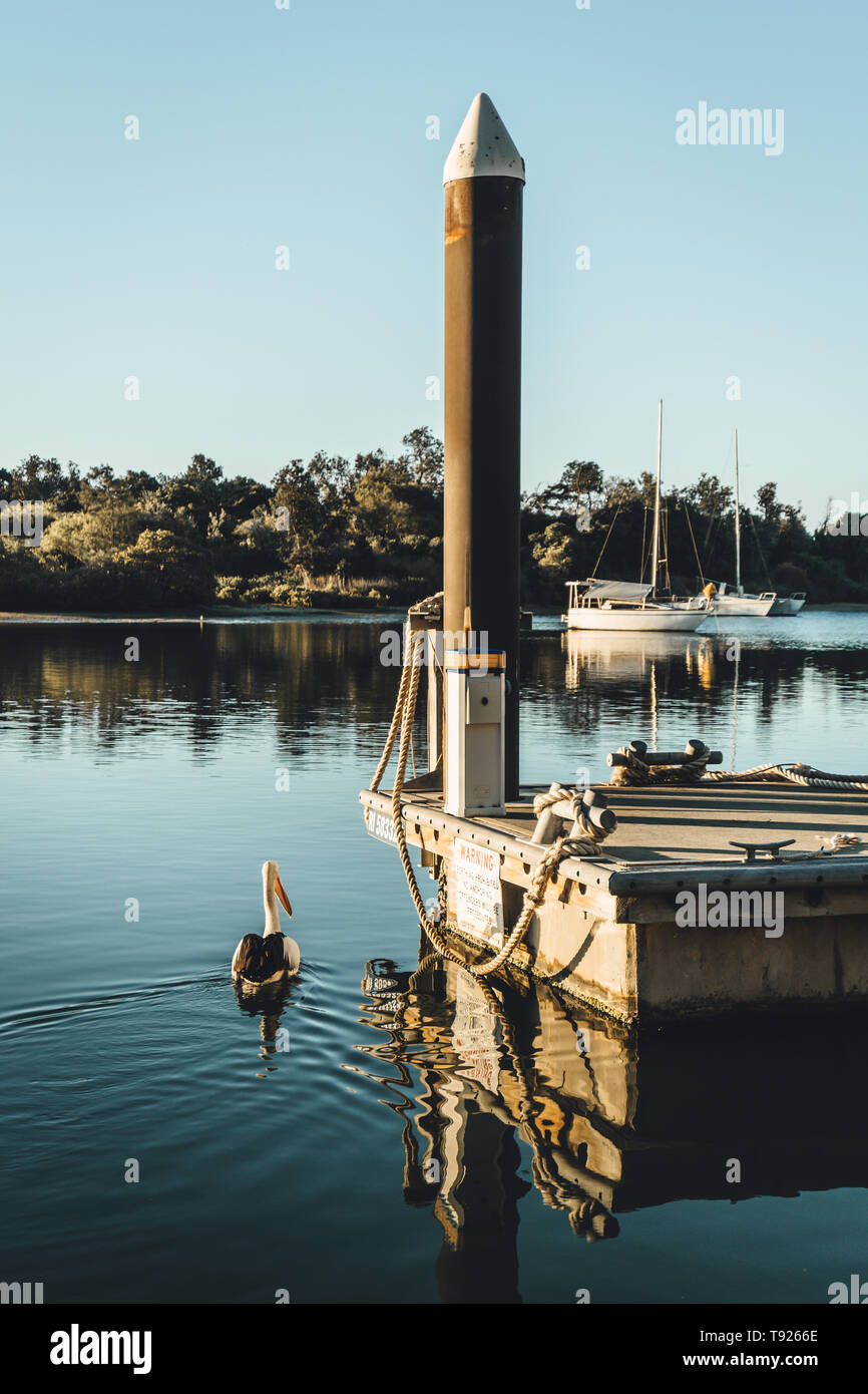 Am späten Nachmittag Sonne auf den Fluss in Yamba, nördlichen New South Wales, Australien Stockfoto