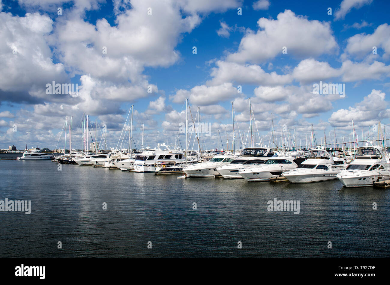 Charleston Harbor Marina, Charleston, South Carolina Stockfoto