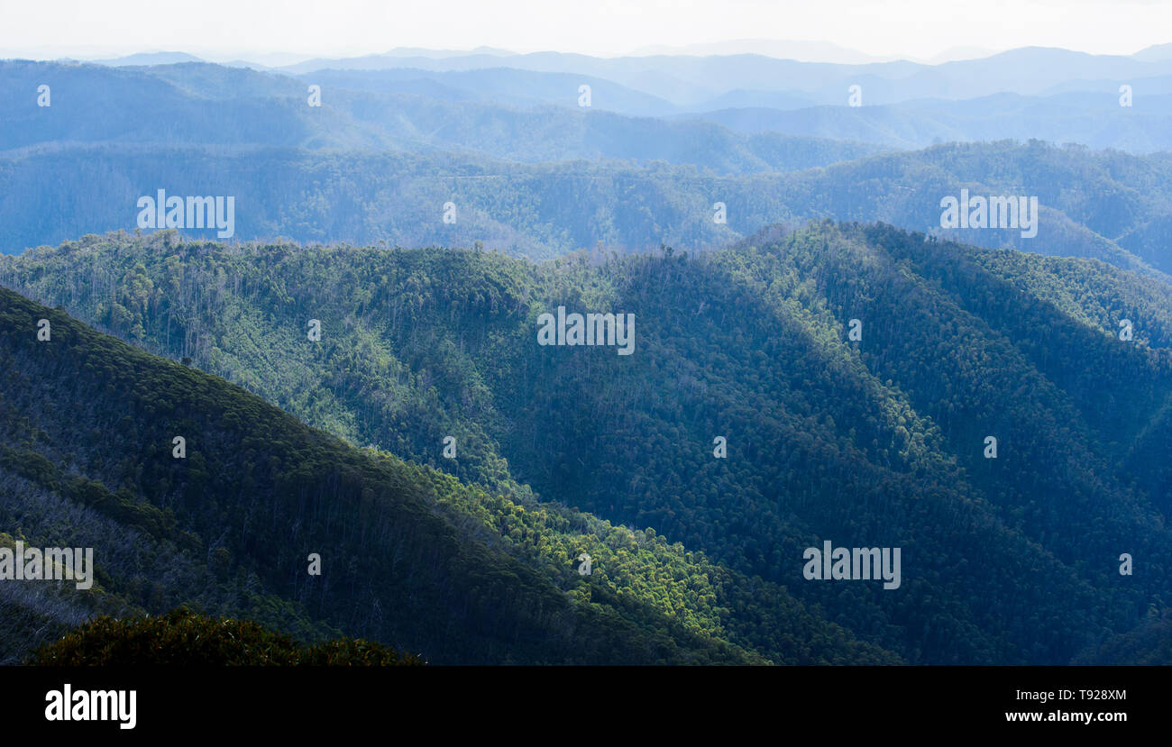 Blick über die Bergkette in den Australischen Alpen im High Country Victoria Australien Stockfoto