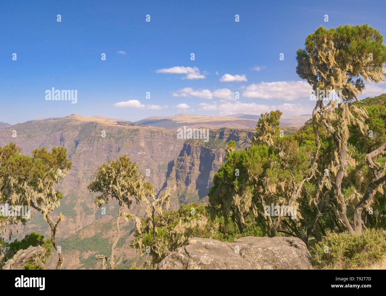 Simien Mountains National Park in Äthiopien Stockfoto