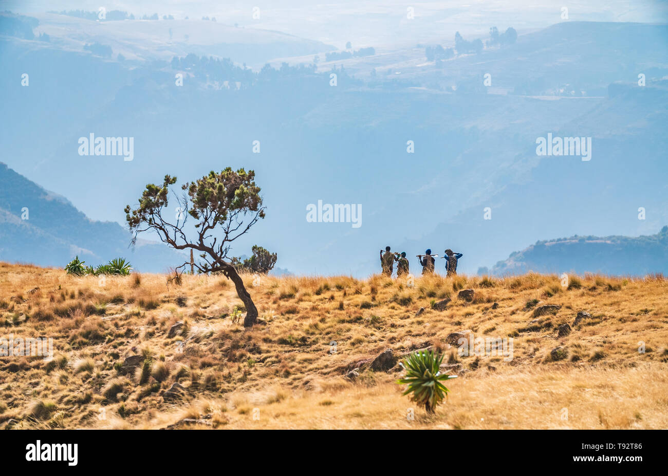 Lokale scouts Wandern durch traumhafte Landschaft in der Simien-berge Stockfoto