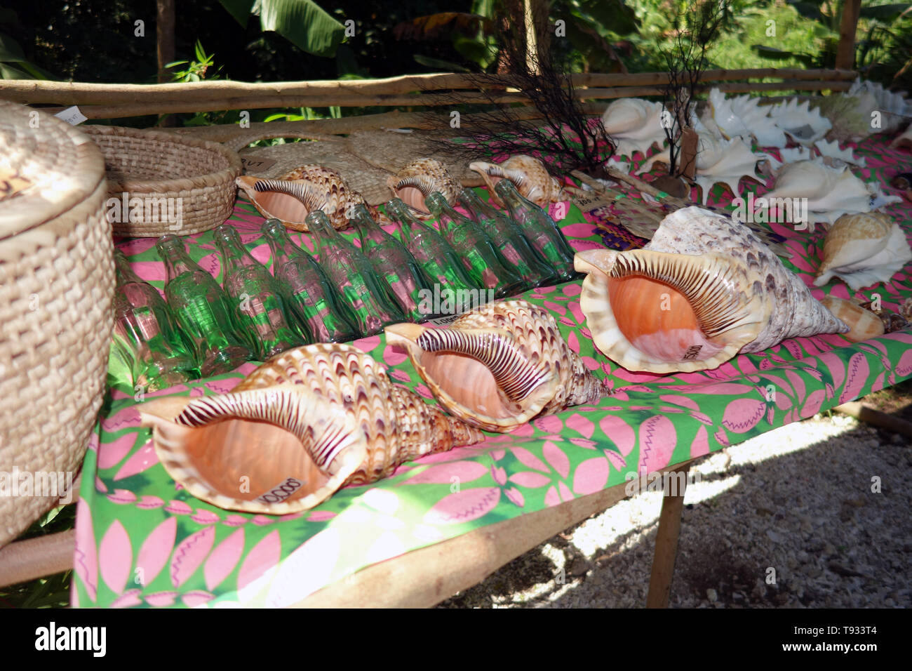Große triton Schalen (Charonia tritonis) für Verkauf an den Straßenrand ausgeht, Efate, Vanuatu. Keine PR Stockfoto