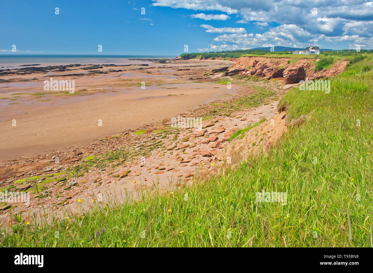 Red snadstone Felsen bei Ebbe Riverside-Albert New Brunswick Kanada Stockfoto