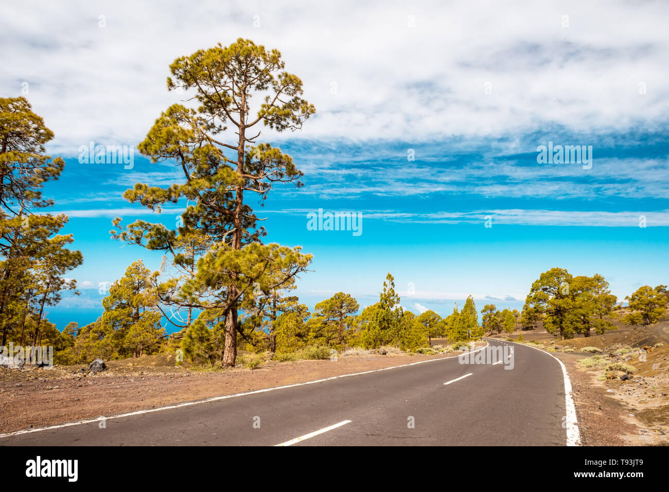 Straße in der vulkanischen Wüste Tenerife, Canary. Asphalt und weiße Linie auf Straße Stockfoto