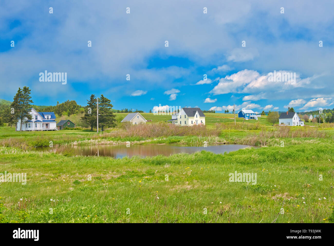 Ackerland, Advocate Harbour, Nova Scotia, Kanada Stockfoto